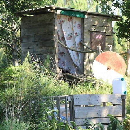 ميميزا بلاج Tipi Lodge Dans La Foret المظهر الخارجي الصورة