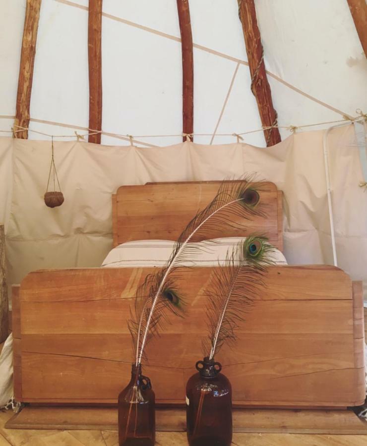 ميميزا بلاج Tipi Lodge Dans La Foret المظهر الخارجي الصورة