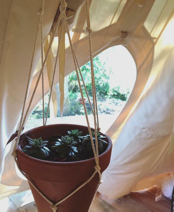 ميميزا بلاج Tipi Lodge Dans La Foret المظهر الخارجي الصورة