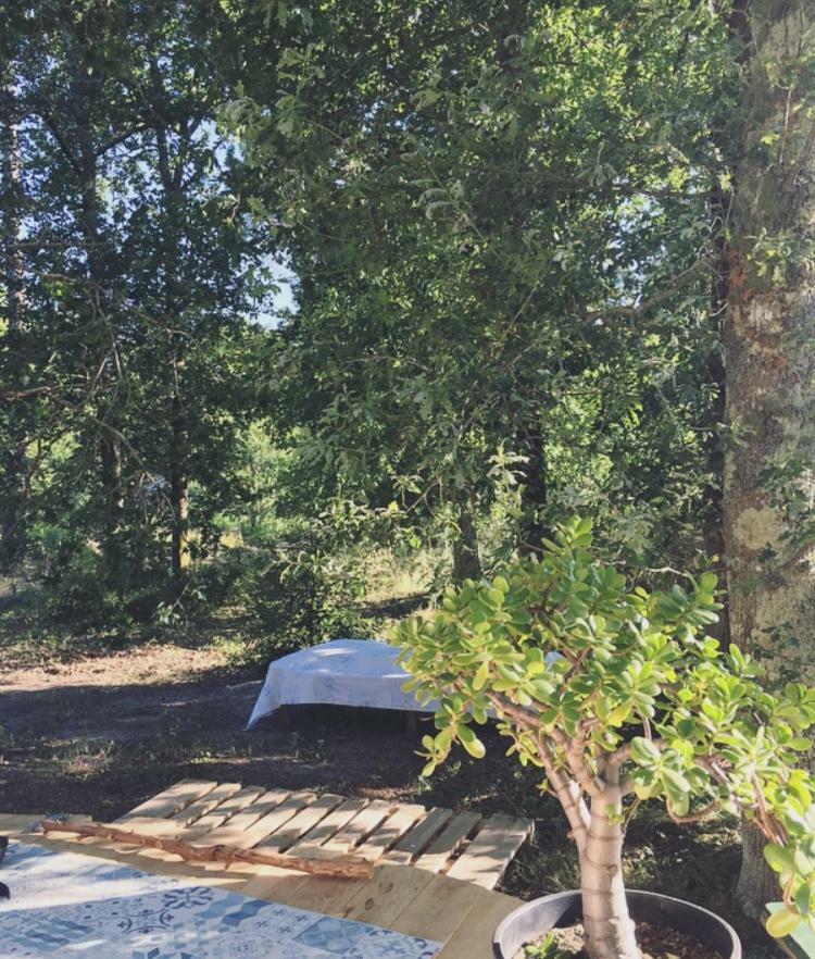 ميميزا بلاج Tipi Lodge Dans La Foret المظهر الخارجي الصورة