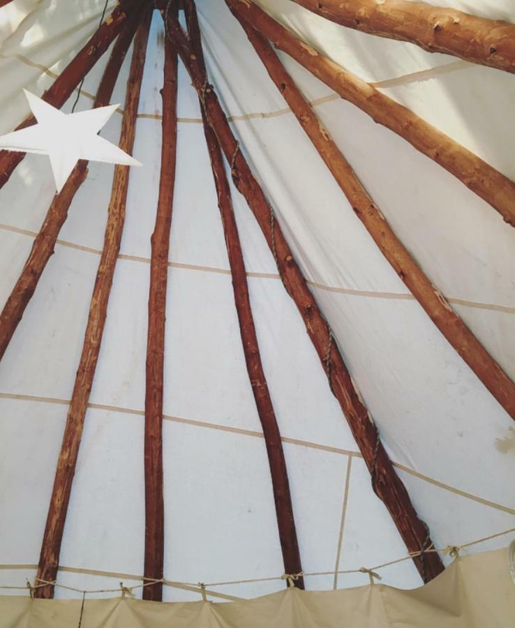 ميميزا بلاج Tipi Lodge Dans La Foret المظهر الخارجي الصورة