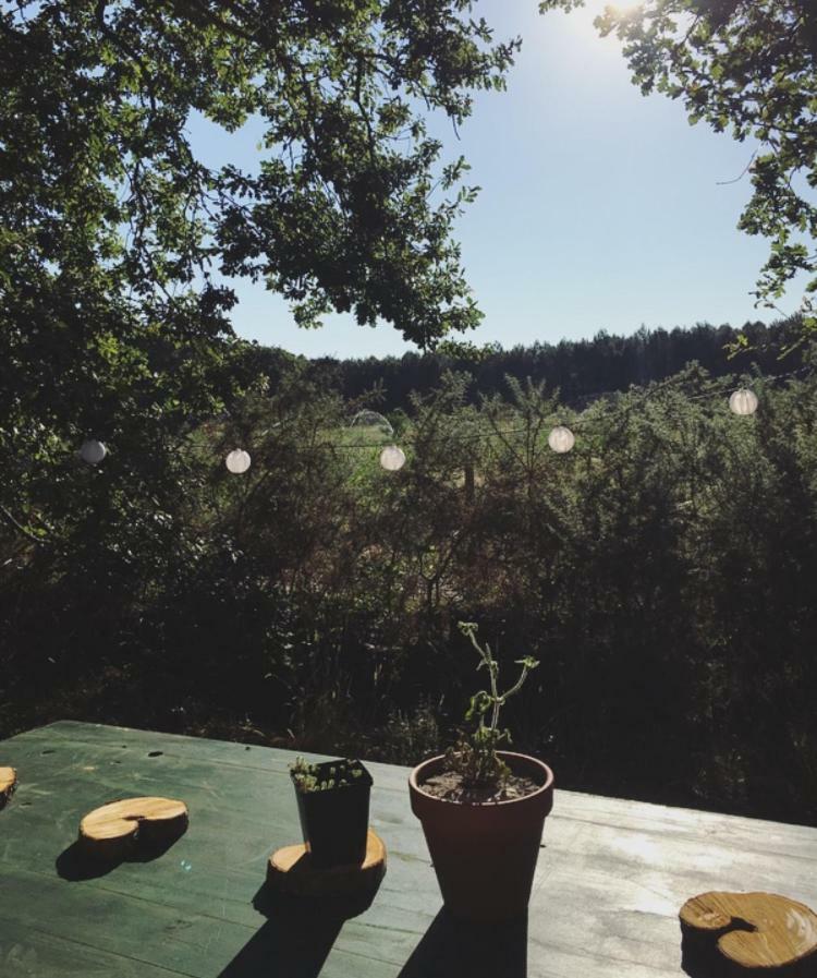ميميزا بلاج Tipi Lodge Dans La Foret المظهر الخارجي الصورة